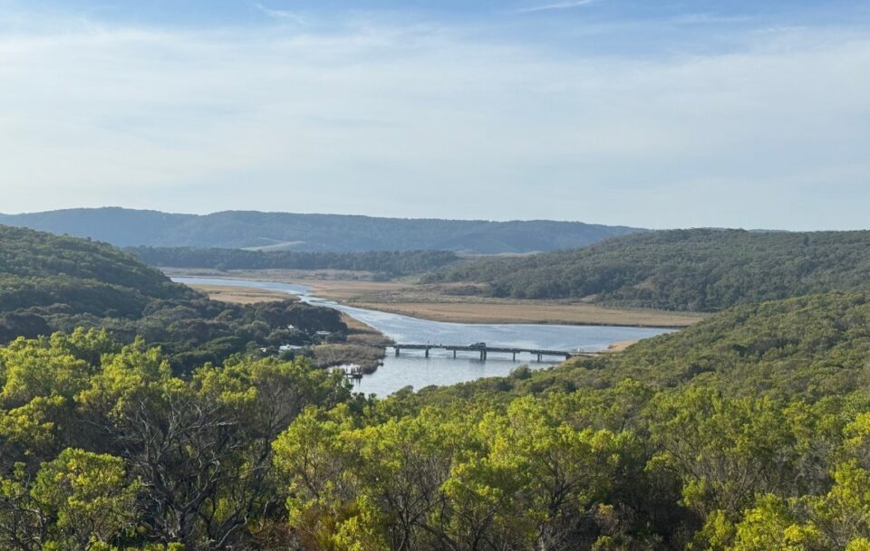 Views of the bridge over the Aire River escarpment, surrounded by bushland on the Great Ocean Walk