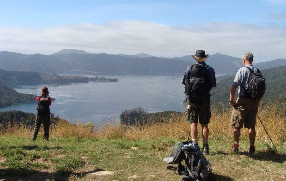 Hikers taking in the view of the Queen Charlotte Track