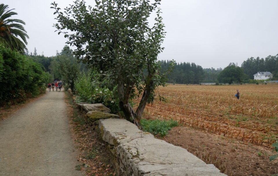 walking past a farm field