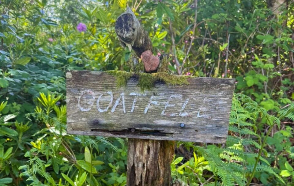 A wooden sign: GOAT FELL located amongst ferns and other greenery