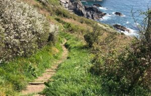 Wooden steps on a dirt path along the Cornish coastline