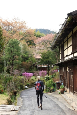 Hiker walking along the Nakasendo Way through a traditional Japanese village with vibrant autumn foliage and colourful trees lining the path.