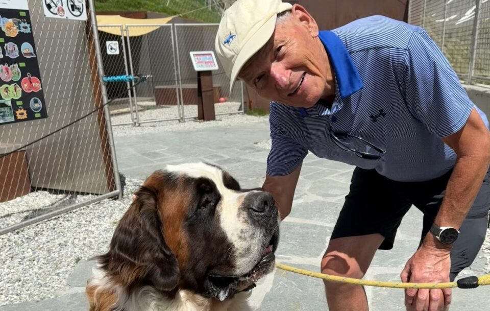 Man petting a friendly St Bernard dog outdoors