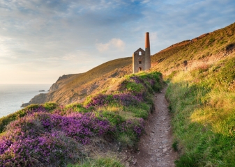 Mining relic South West Coast Path Stone relic of a pumping engine house and a narrow rocky path lined with bright purple heather near the Atlantic Coast in southwest England.