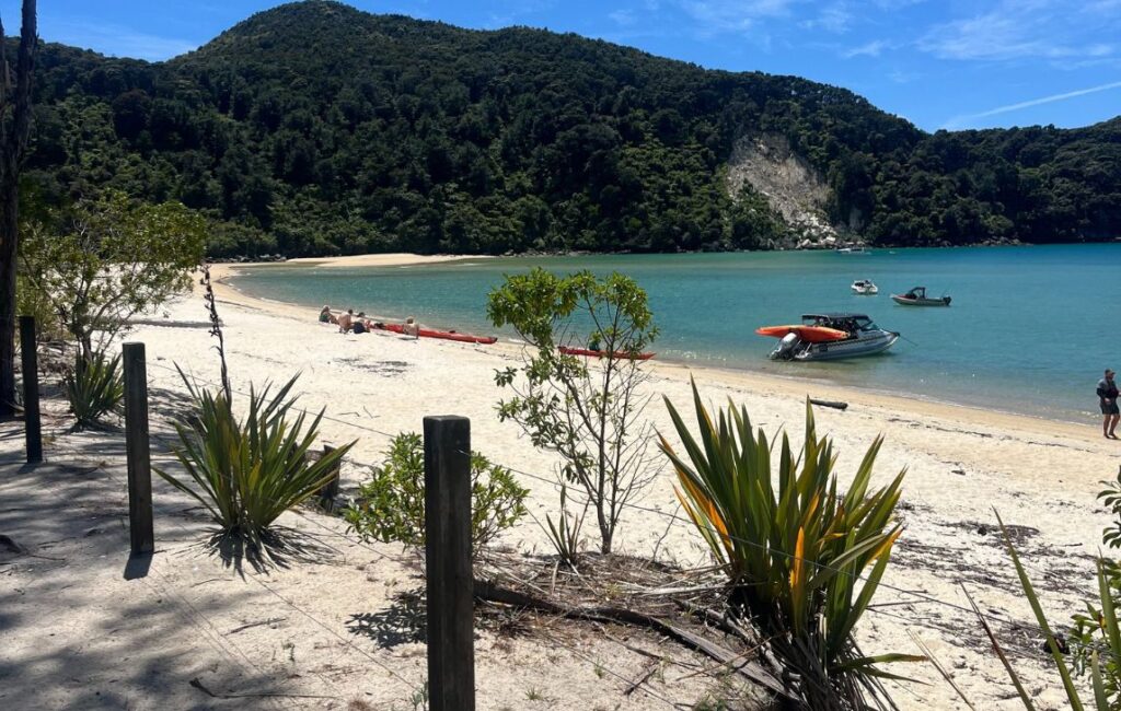 Queen Charlotte and Kenepuru Sounds.