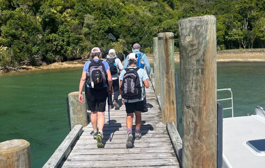 A group of 4 hikers walking along a small jetty towards the Queen Charlotte Track in New Zealand