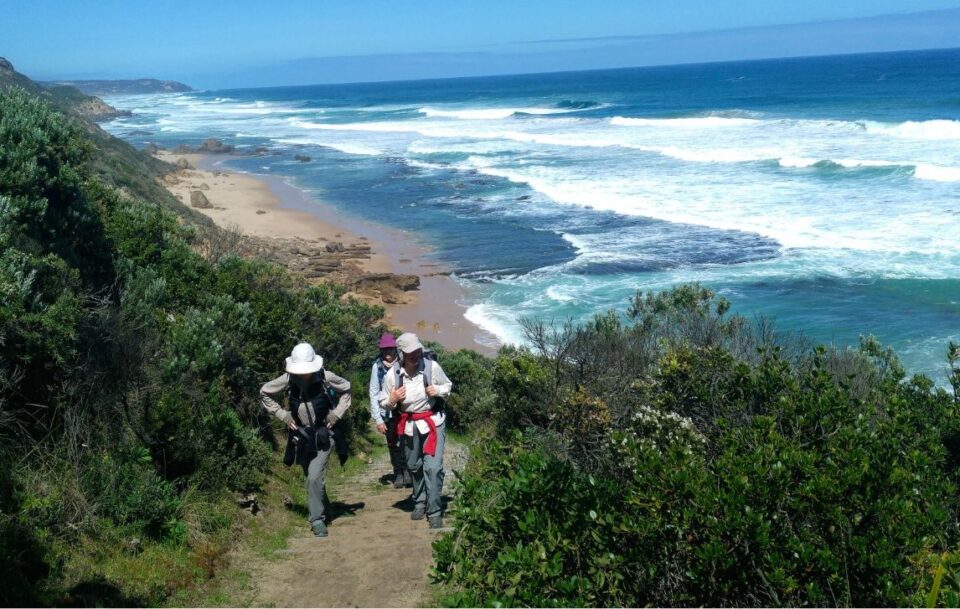 Hikers ascending from Station Beach on a narrow dirt track, Great Ocean Walk
