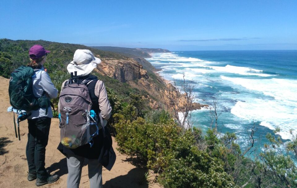 Hikers admiring the sweeping ocean views from a coastal track near Cape Otway on the Great Ocean Walk
