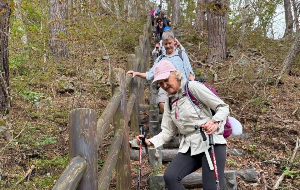 Hikers descend wooden steps on the Michinoku Coastal Trail
