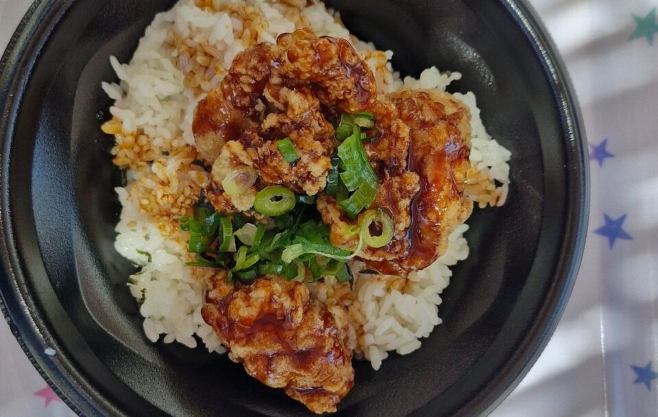 Closeup of a bowl of rice topped with meat, Japan.
