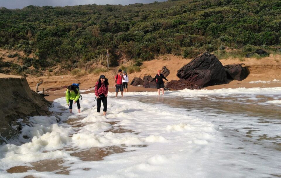 Hikers navigating waves along windswept Johanna Beach on the Great Ocean Walk.