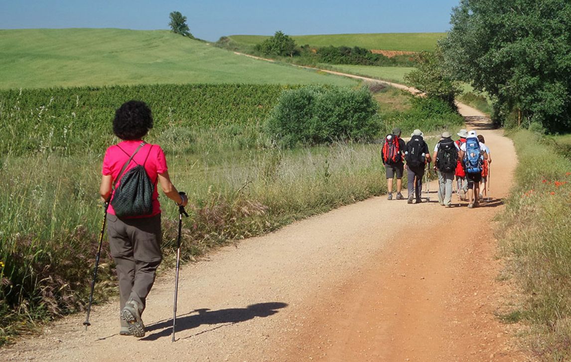 Pilgrims on the Camino de Santiago in Spain Group of pilgrims walking along the Camino de Santiago in Spain.
