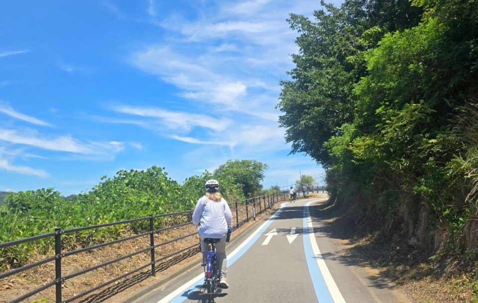 Cyclist on a marked path on the Shimanami Kaido