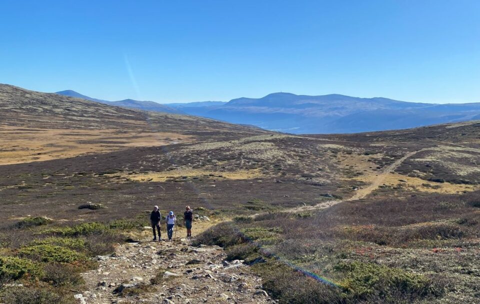 Three hikers walking through treeless landscape on St Olav's Way, Norway