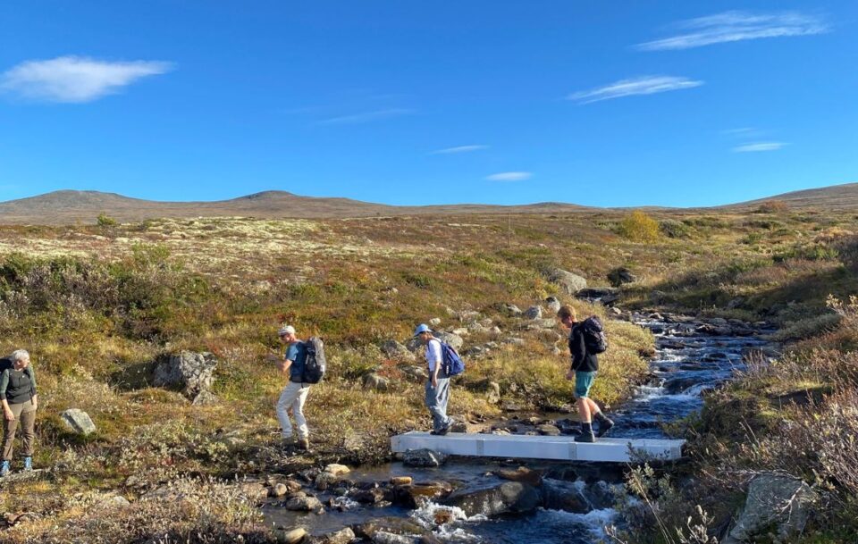 Hikers crossing a stream on a narrow plank bridge, St Olav's Way Norway