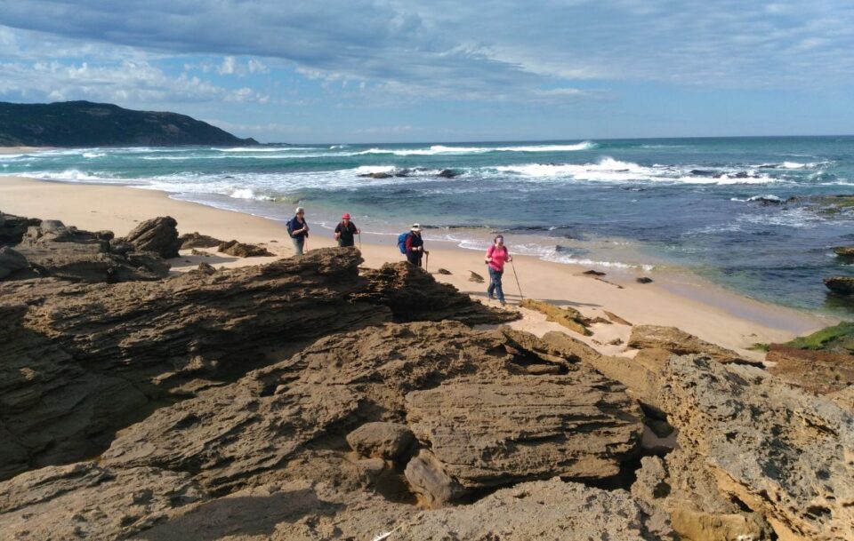 Four hikers walking in a line on a remote stretch of beach on the Great Ocean Walk in Victoria.