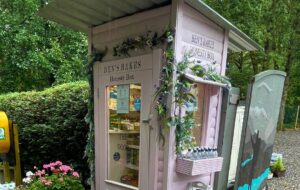 Cute small pink wooden honesty box for walkers on Scotland's West Highland Way, surrounded by greenery.
