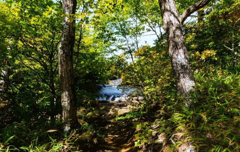 Oku-Nikko, Yukawa, Senjougahara Japan