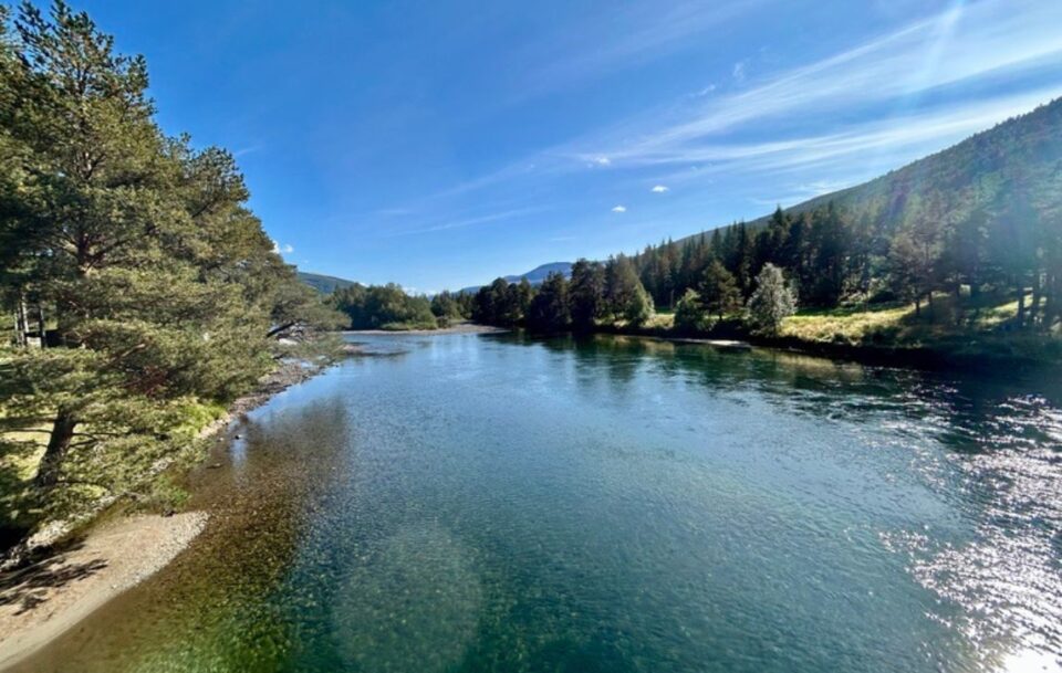 Crystal-clear river winding through the forest, St Olav's Way pilgrimage trail.