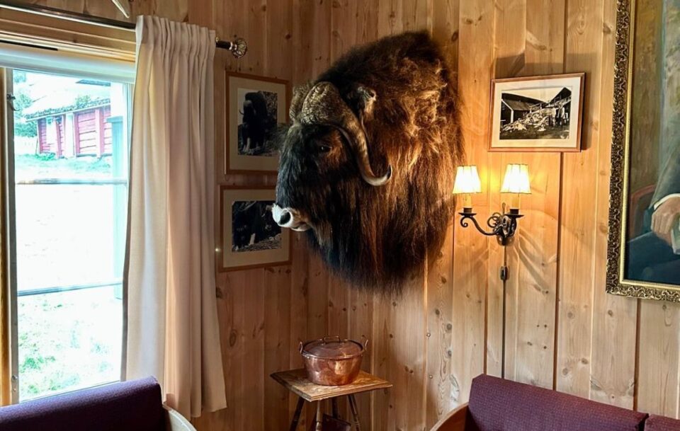 Wood-panelled lounge with a bison head on the wall, St Olav's Way, Norway.