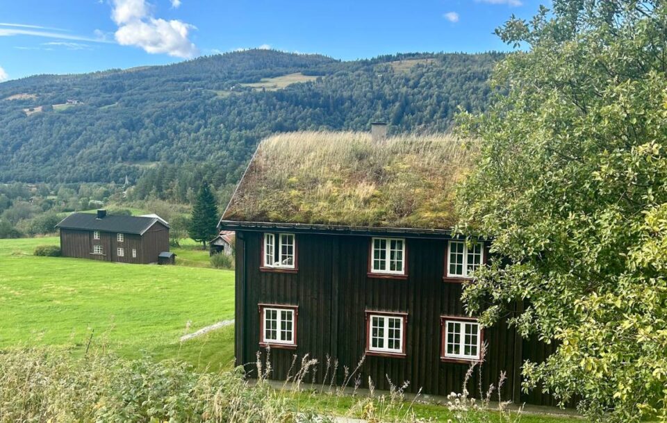 Traditional turf-roofed hut along St Olav’s Way with dense forested hills behind.
