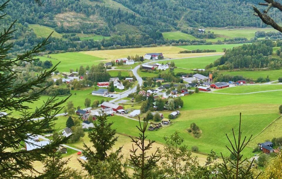 Elevated view overlooking a town on St Olav's Way with red and white houses surrounded by green fields.