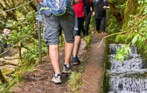 Close up of hikers walking lush levada trails in Madeira Island, Portugal
