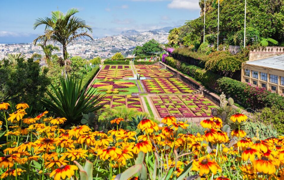 Colourful manicured tropical gardens in the Jardin Botanico on Madeira Island