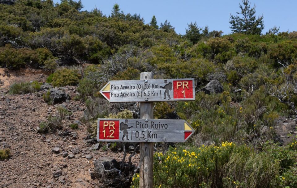 Wooden signs for hikers pointing to Pico Ruivo and Pico Areeiro in Madeira.