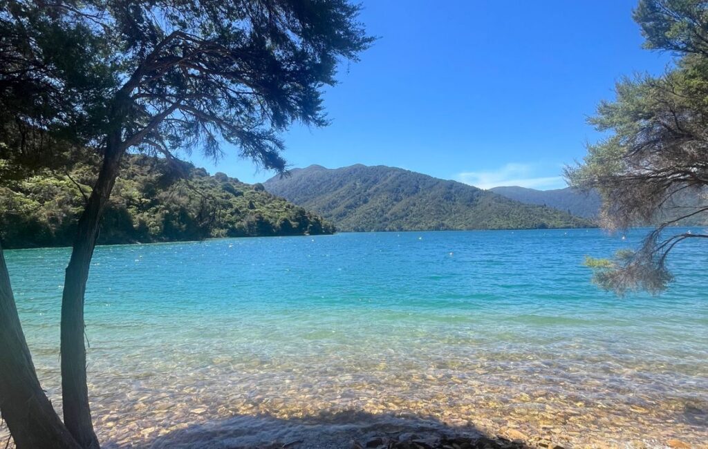 Queen Charlotte Track New Zealand, Beaches
