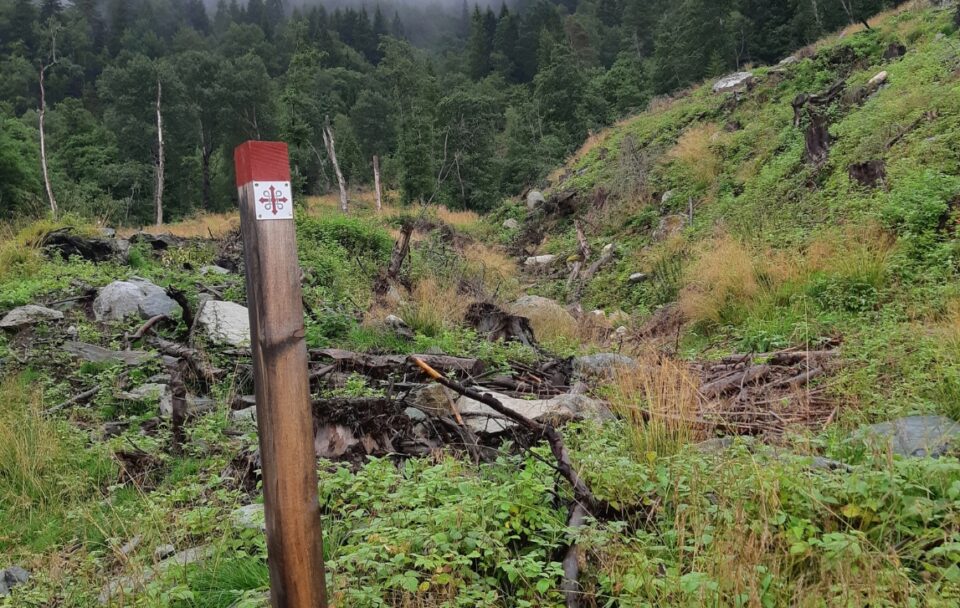 Trail Marker St Olav's Way Norway