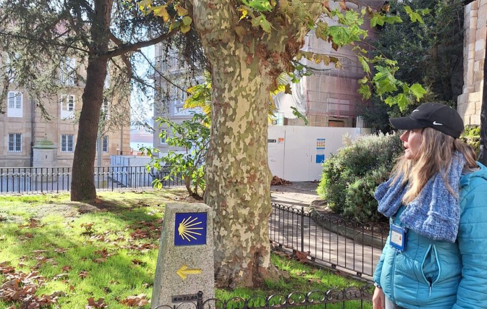 Camino Ingles sign