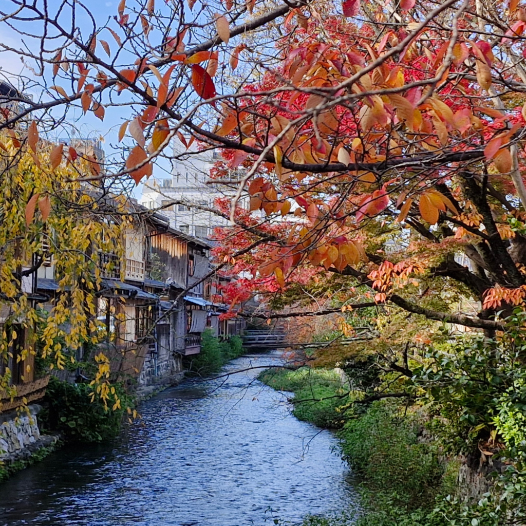 Autumn colours in Kyoto Japan