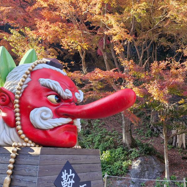 Kyoto Extension