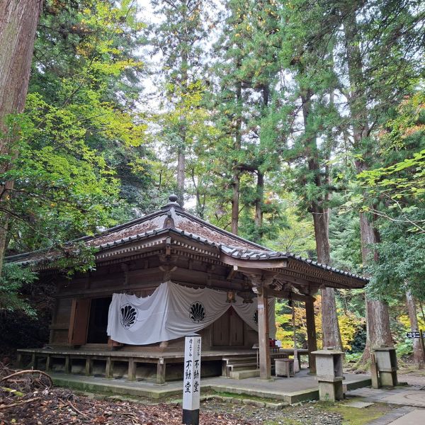 Kyoto Extension trip