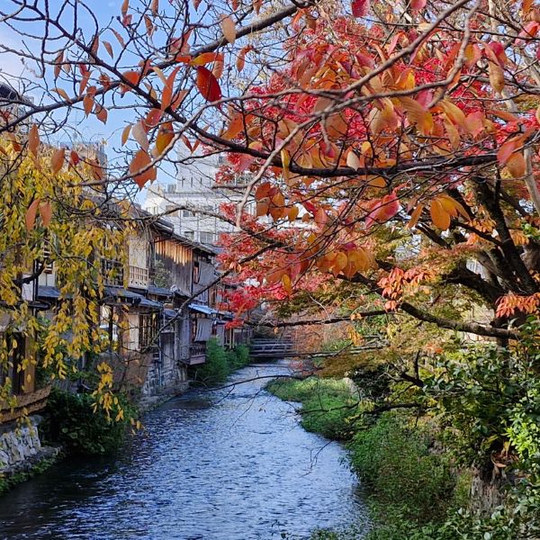 Kyoto