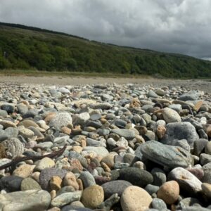 Pebble Beach Arran