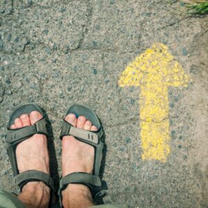 Camino walker