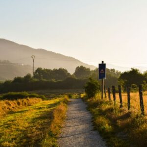Camino de Santiago
