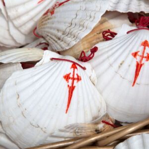 Pilgrim Shells Camino de Santiago