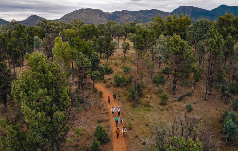 Aerial view of Arkaba trail