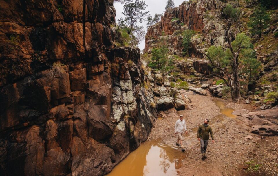 Arkaba trail