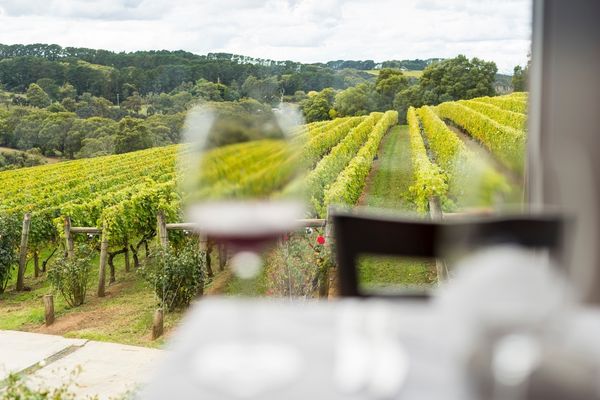 Mornington Peninsula Wine