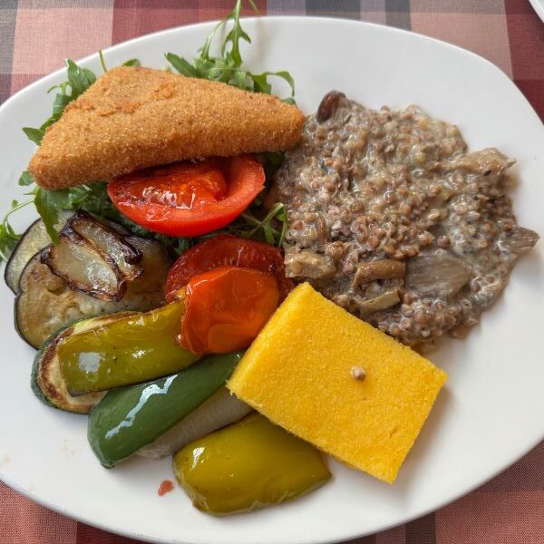 mushroom lentil stroganoff, with grilled vegetables, polenta & mozzarella